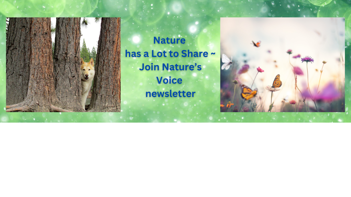Join Our Newsletter!